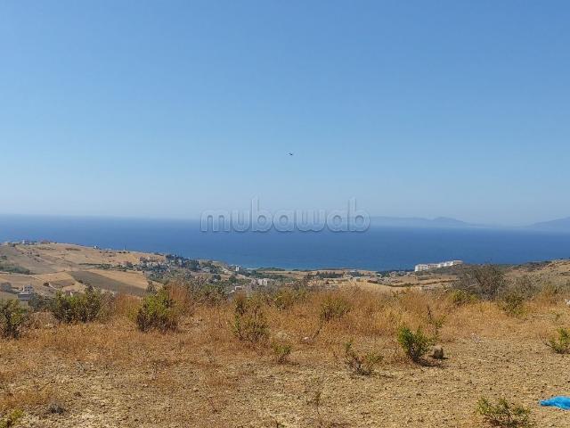 Terrain vente à El Fahs, Tanger-Tétouan