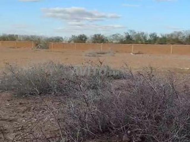 Propriété vente à Al Haouz, L'Oriental