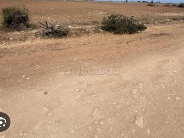 Terrain vente à Sidi Bennour, Gharb-Chrarda-Beni Hssen