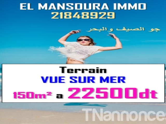 Terrain vente