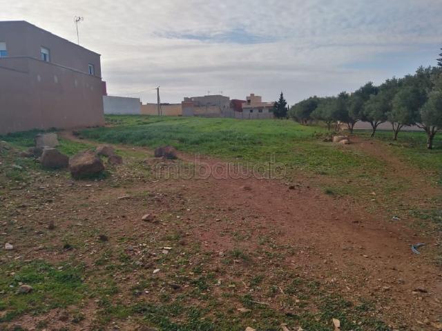 Terrain vente à Beni Enzar