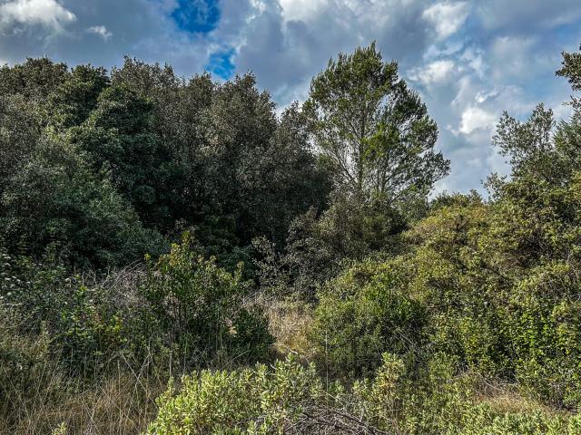 Terrain vente à Nîmes, Collias