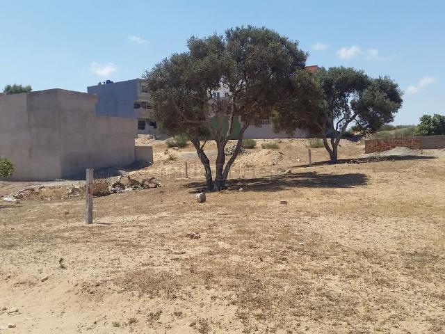 Terrain vente à Ras Kebdana
