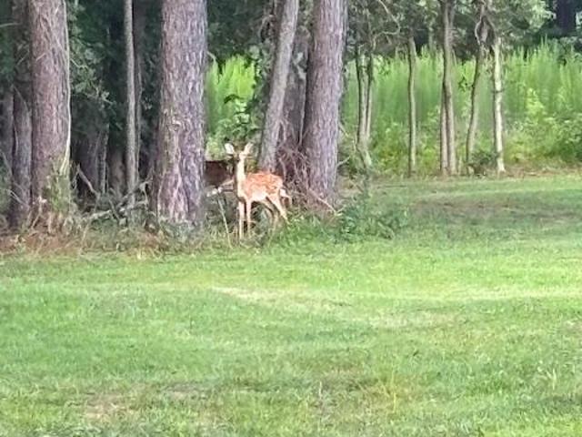 Land for sale in Manokin, Maryland