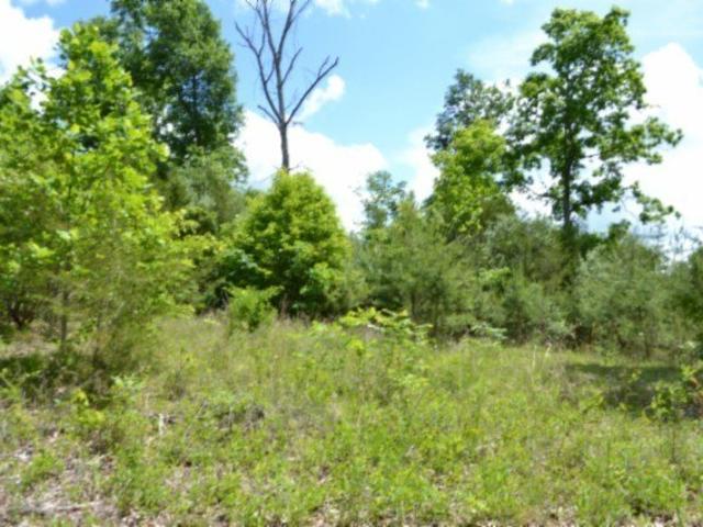 Farm for sale in Burkesville, Kentucky