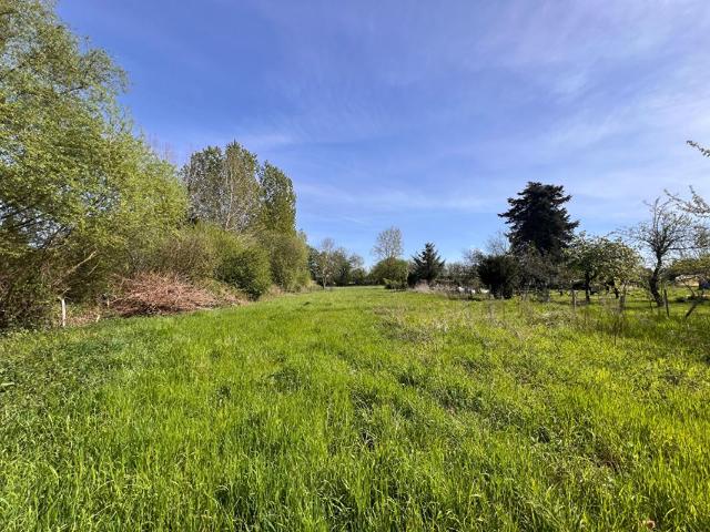 Terrain vente à Mamers, Beaufay