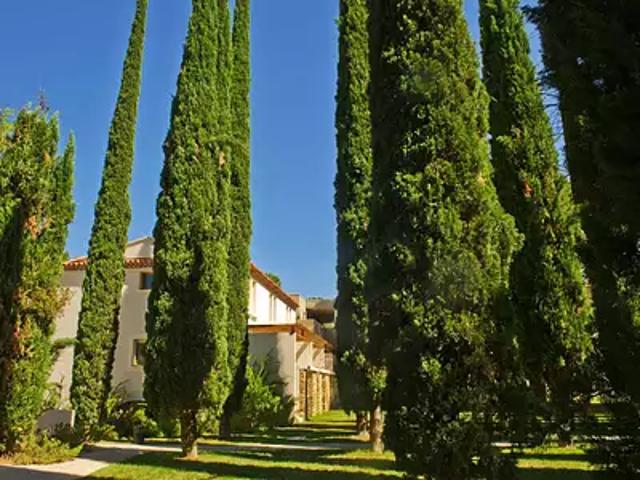 Appartement vente à Beaumettes, Vaucluse