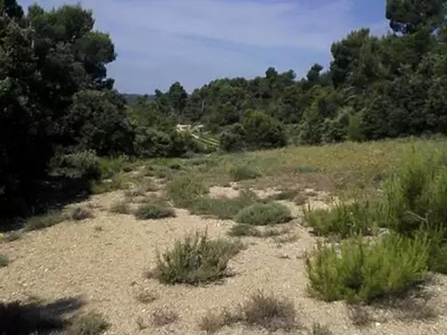 Terrain vente à Apt, Beaumont-de-pertuis