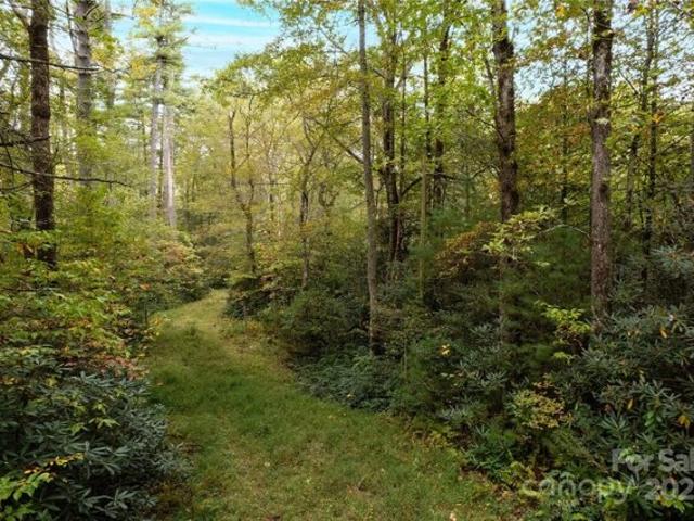 Land for sale in Cedar Mountain, North Carolina