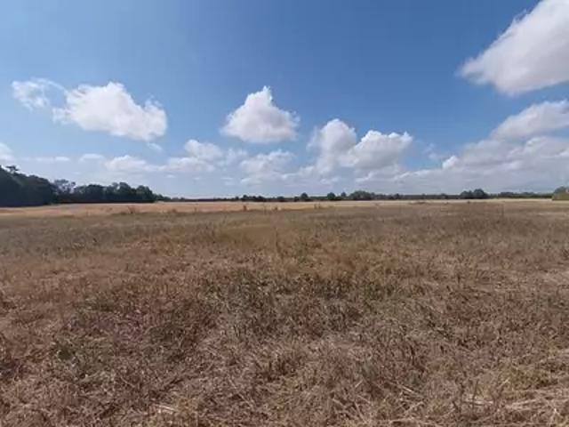 Terrain vente à Fontainebleau, Beaumont-du-gâtinais