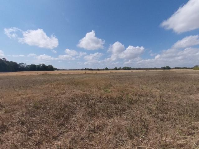 Terrain vente à Fontainebleau, Beaumont-du-gâtinais