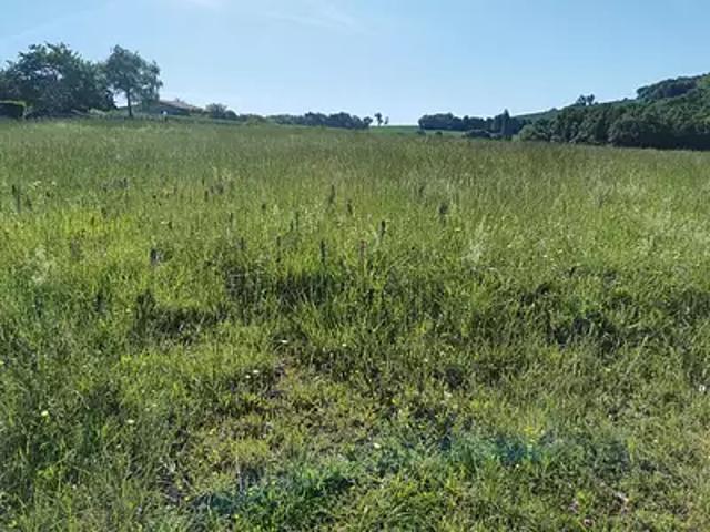 Terrain vente à Muret, Beaumont-sur-lèze