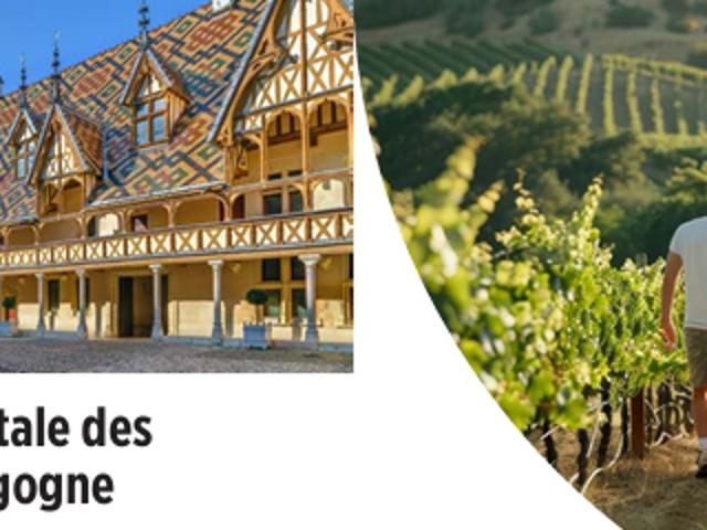 Appartement vente à Beaune
