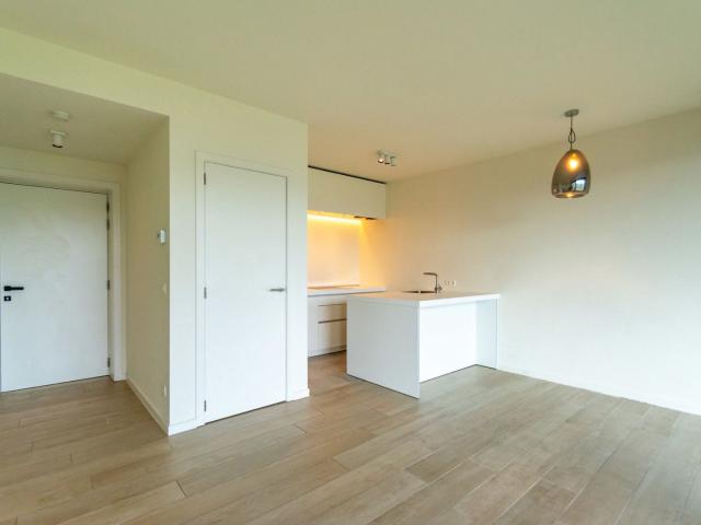 Kot location à Nieuw Zuid, Antwerpen