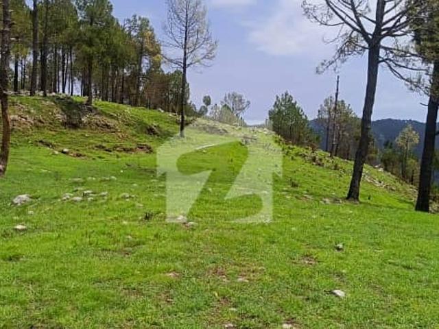 Property for sale in Islamabad
