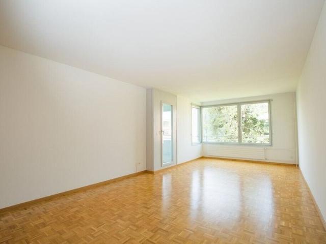 Apartment mieten in Hegnau, Volketswil