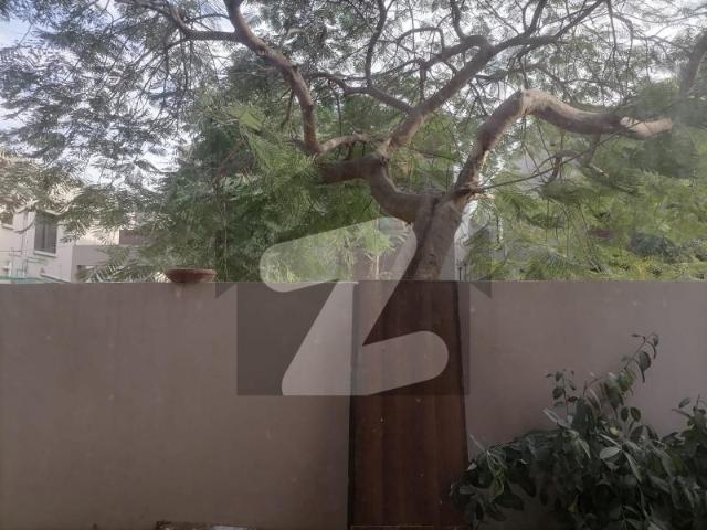 House for rent in North Waziristan, Federally Administered Tribal Areas fata
