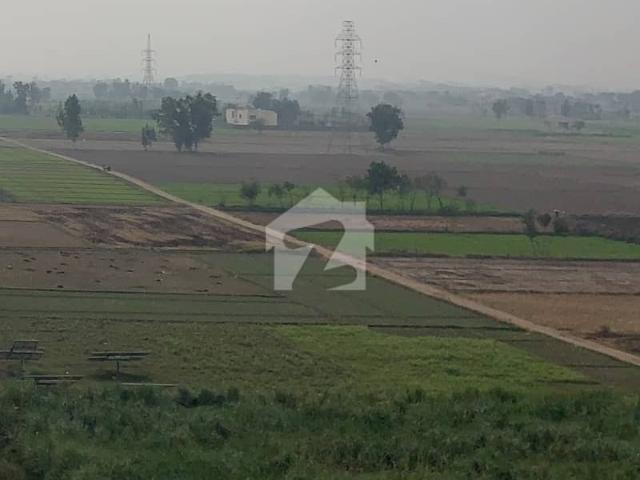 Land for sale in مریدکے, لاہور ڈویژن