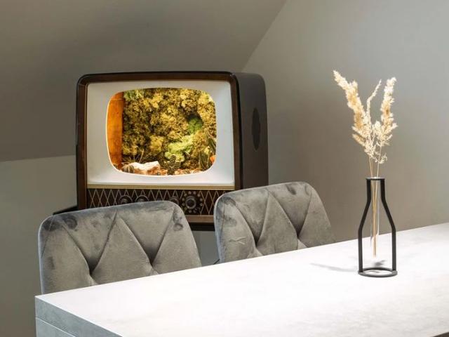 Apartment mieten in KG Leopoldstadt, Wien