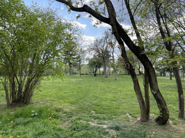Apartment mieten in Floridsdorf, Wien