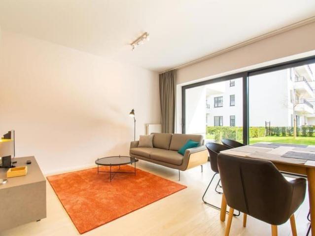 Kot location à Evere, Bruxelles