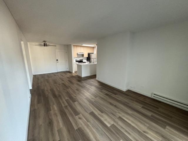 Room for rent in Cliff Haven, Newport Beach