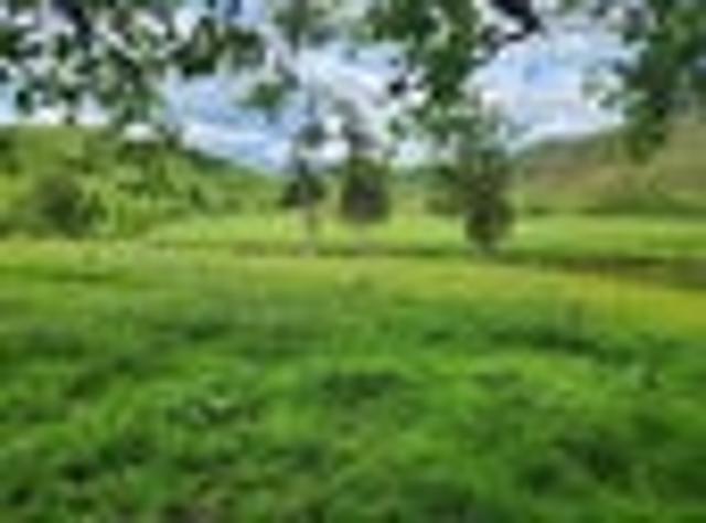 Land for sale in Waikato