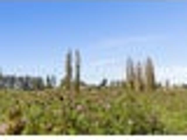 Land for sale in Waimate, Canterbury