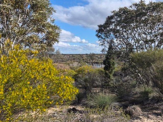 Cottage for sale in Coorow, Western Australia