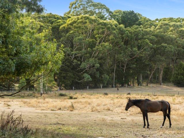 Land for sale in Trentham, Victoria