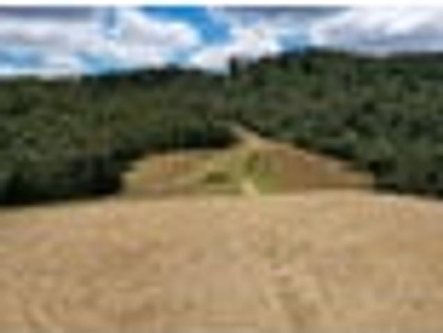 Land for sale in Northland
