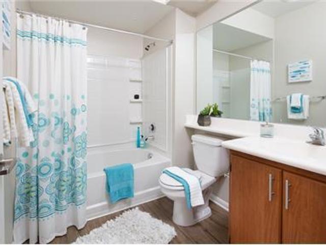 House for rent in Carlsbad, California