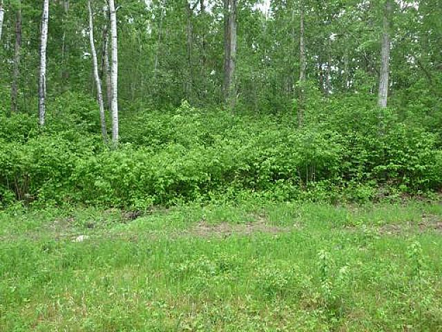 Land for sale in Nipawin, Saskatchewan