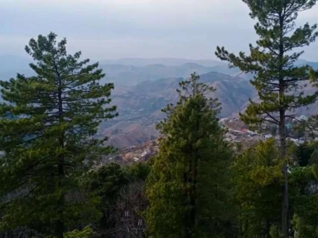 Apartment for rent in Murree, Islamabad Capital Territory