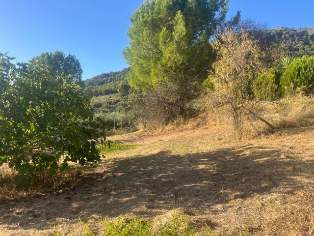 Chalet en venta en Rute, Andalucía
