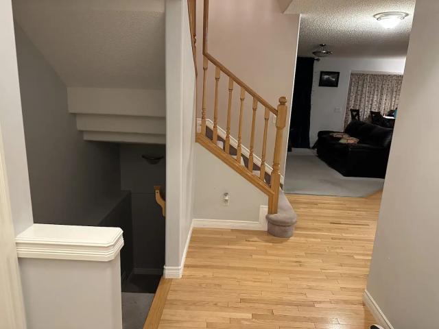 House for rent in Cougar Ridge, Calgary