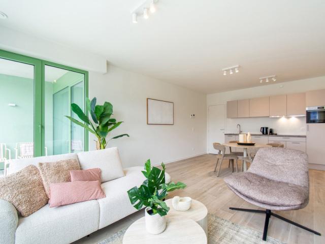 Kot location à Dam, Antwerpen