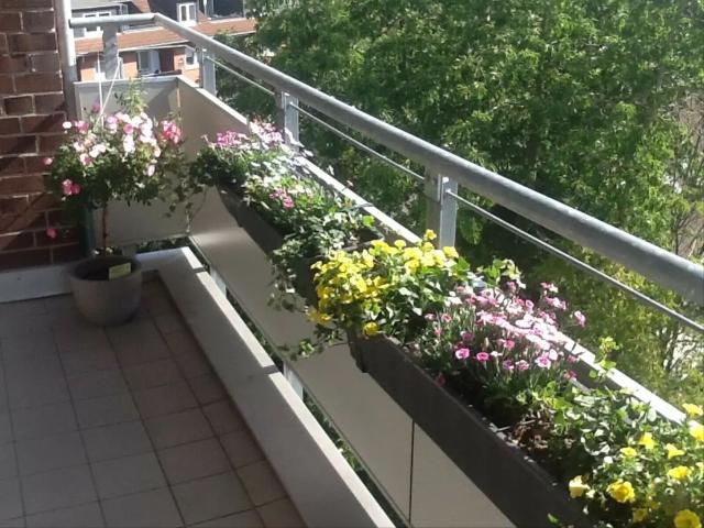Apartment mieten in Bockum, Krefeld