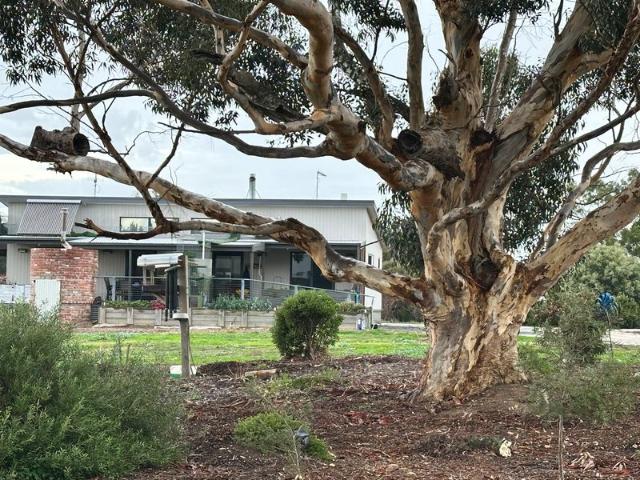 House for sale in Cape Clear, Victoria