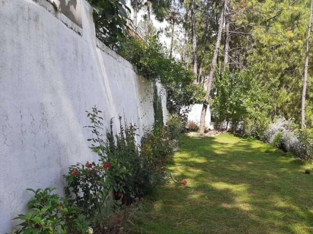House for rent in ایبٹ آباد, ہزارہ ڈویژن