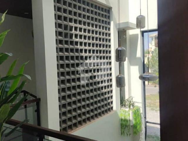 House for rent in North Waziristan, Federally Administered Tribal Areas fata