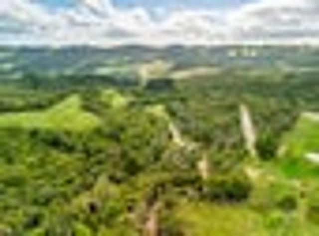 Land for sale in Karetu, Northland