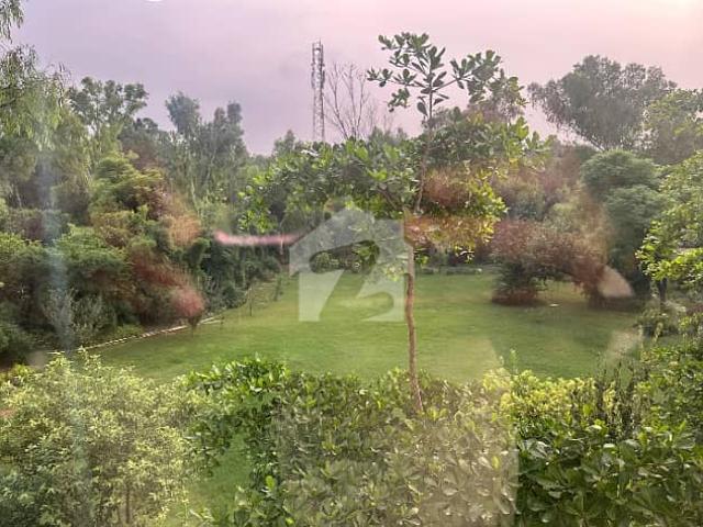 House for rent in Islamabad