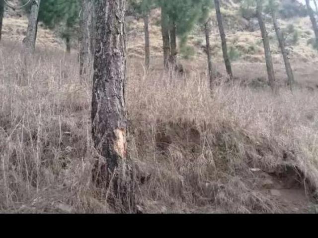 Land for sale in Abbottabad, North West Frontier Province