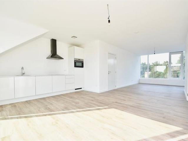 Appartement location à Hamme, Oost-Vlaanderen