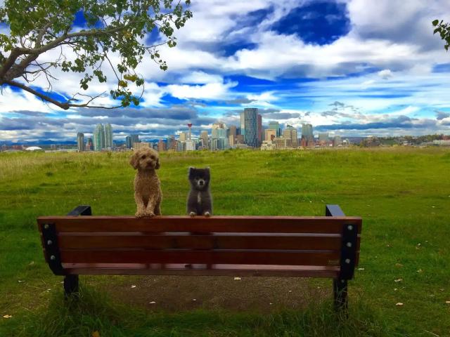 Apartment for rent in Northwest, Alberta