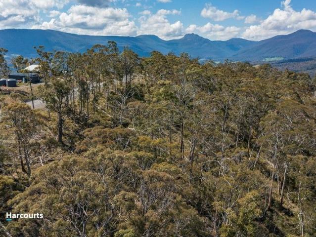 Land for sale in Grove, Tasmania
