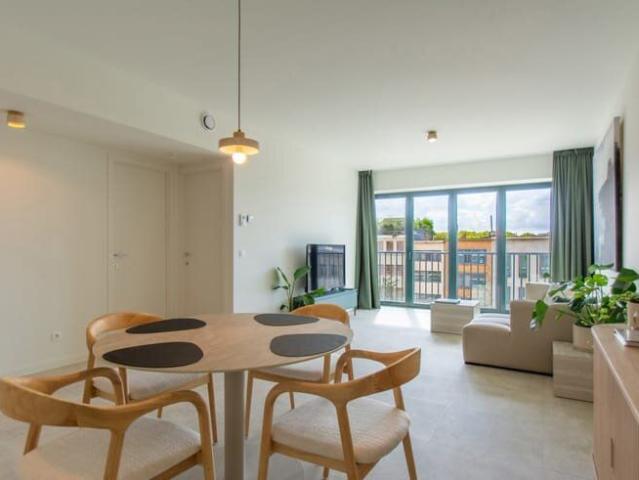 Kot location à Antwerpen