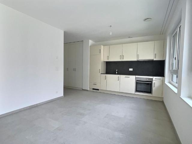 Apartment mieten in Les Mayens-de-Sion, Wallis