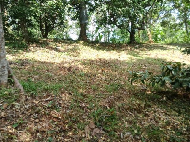 Property for sale in Langkawi, Kedah